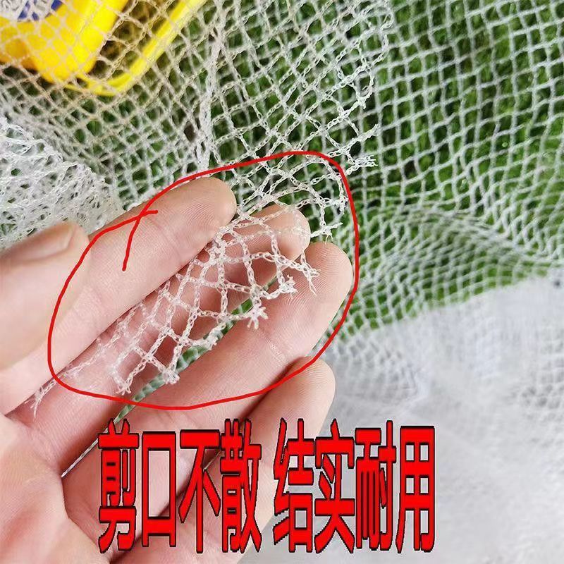 Anti-Hail Net, Orchard Anti-Insect and Anti-Bird Net, Hail Net, Small Eye Net, Orchard Fruit Tree Anti-Falling Leaf Anti-Hail Net