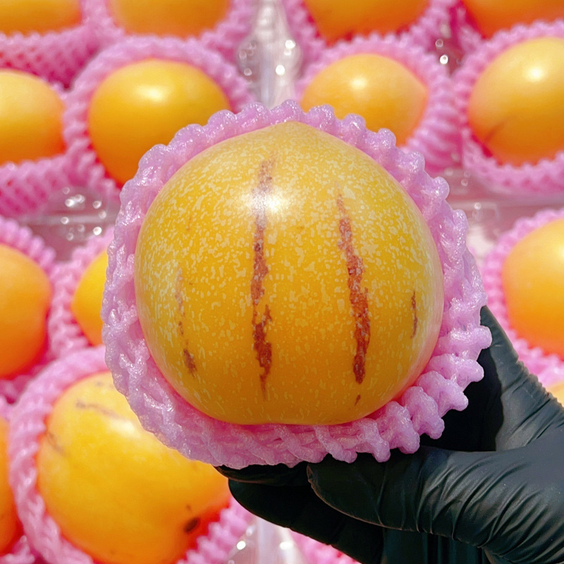 Гинсенговые фрукты из Юньнани Шилин 2.5кг, свежие крупные фрукты, гинсенговые фрукты с яркой желтой мякотью, круглые фрукты, бесплатная доставка 3