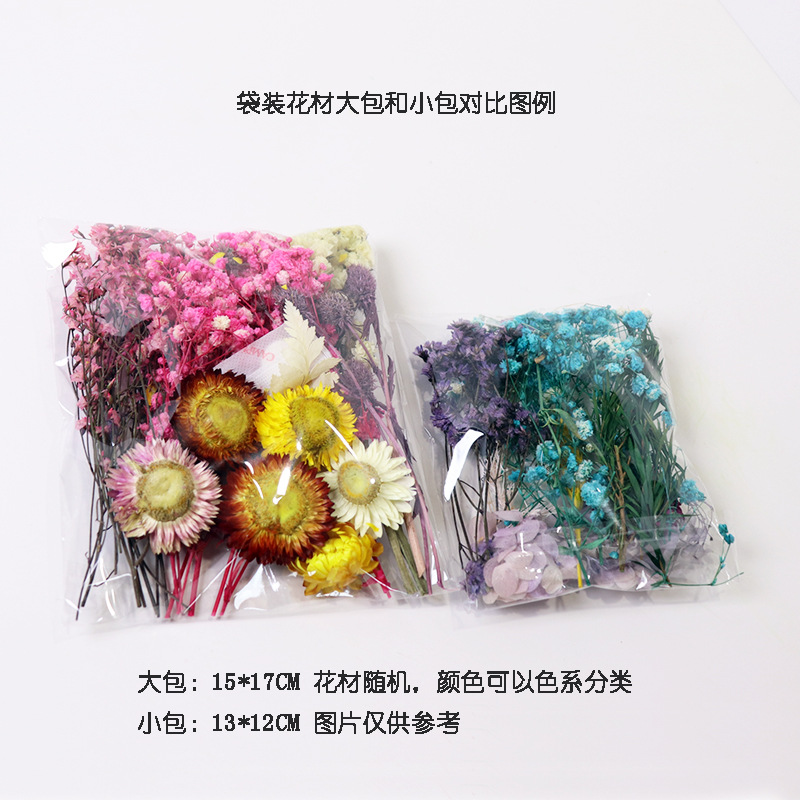 Customize All Kinds of Mixed Immortalized Dried Flowers DIY Material Package Real Flowers Dried Flowers Candle Fan Photo Frame Dried Flower Material Box
