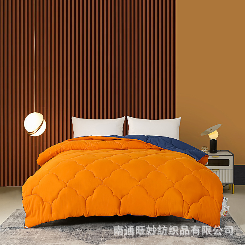 Однотонный двуспальный плед из бархата, трехмерная отделка, облачный плед, для студентов, утолщенный, осенне-зимний, оптовая продажа