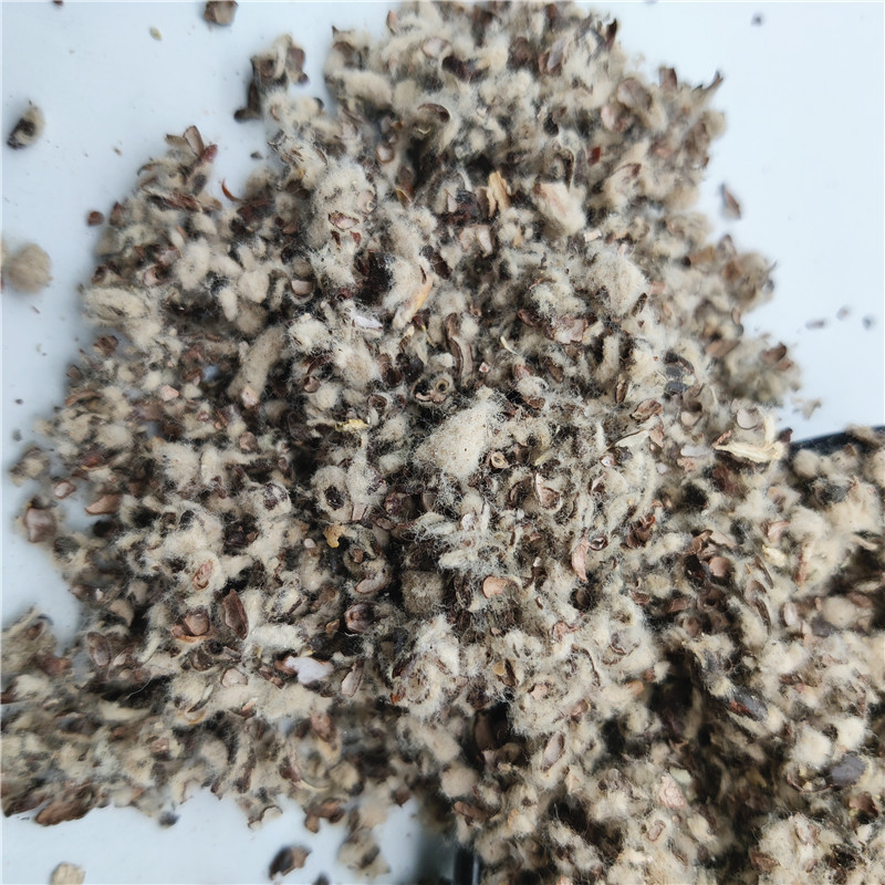 Medium long velvet cottonseed shell Pleurotus ostreatus edible fungus cultivation cottonseed shell for animal feed oil field plugging cottonseed shell