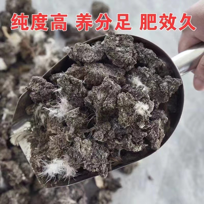 Chicken Manure Pure Dry Chicken Manure Farmyard Manure Chicken Manure with Chicken Fertilizer for Flowers and Vegetables Natural Farmyard Chicken Manure Blocks Free Shipping