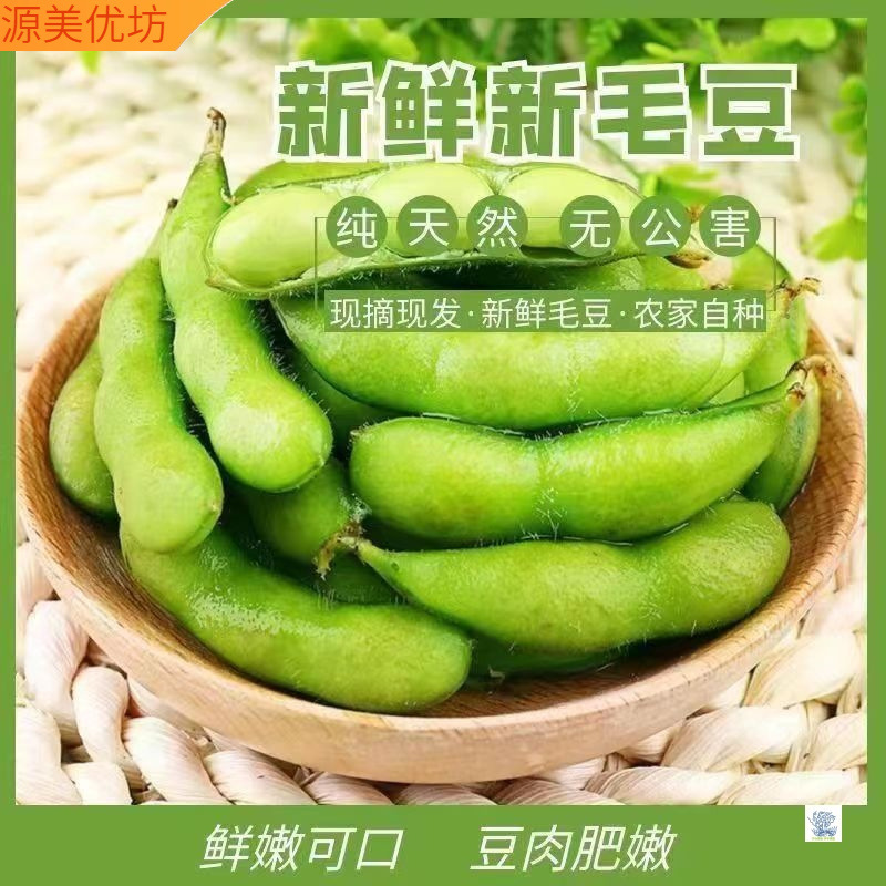 Целая коробка эдамаме, свежесобранные очищенные бобы, оптовая продажа сезонных овощей
