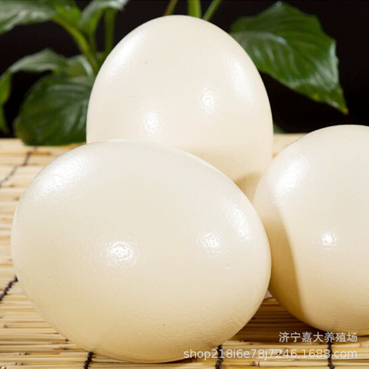 How Much Is a Fresh Ostrich Egg? How Many Ostrich Eggs Are There? Is Ostrich Meat Delicious?