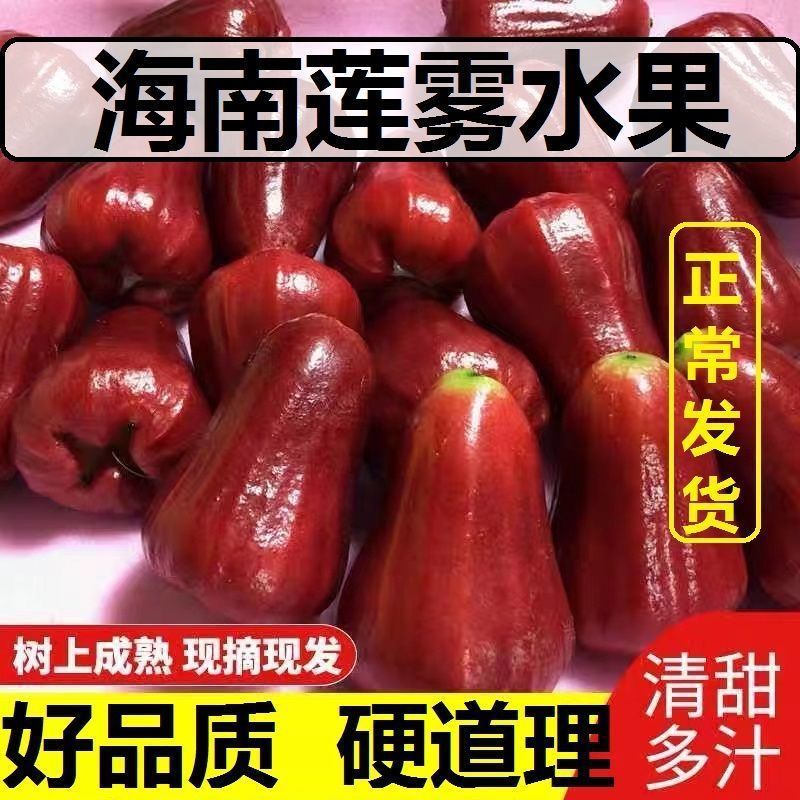 Hainan Black Diamond Lotus Mist Fruit Seasonal Tropical Fresh Fruit Sanya Specialty Mist Lotus Fruit Factory Wholesale