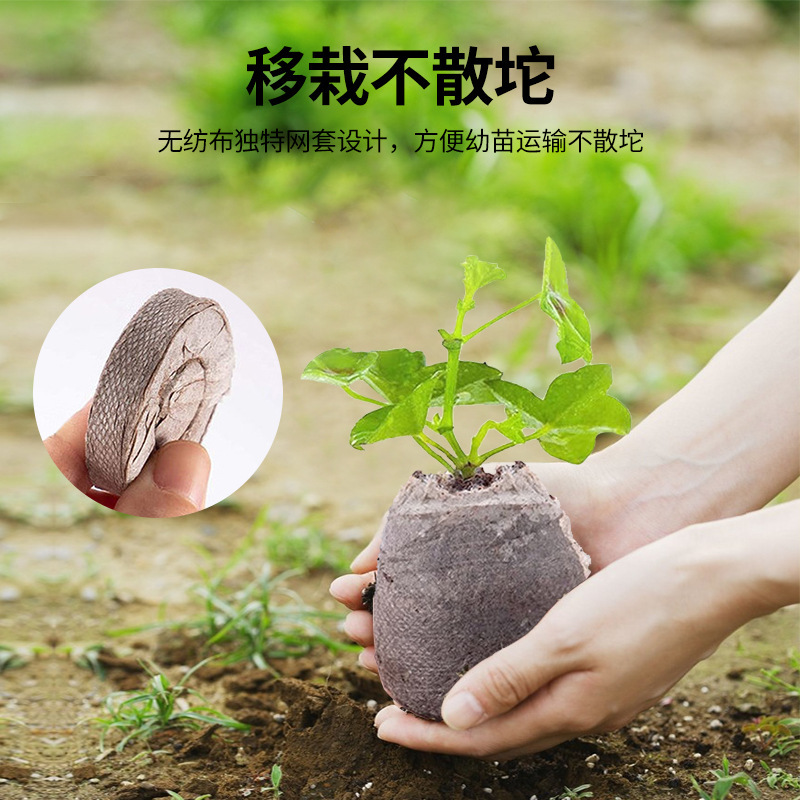 Seedling Blocks, Nutrient Blocks, Compressed Soil, Special Nutrient Soil for Succulents, General-Purpose Household Wholesale, Magical Tool for Green Plant Cultivation