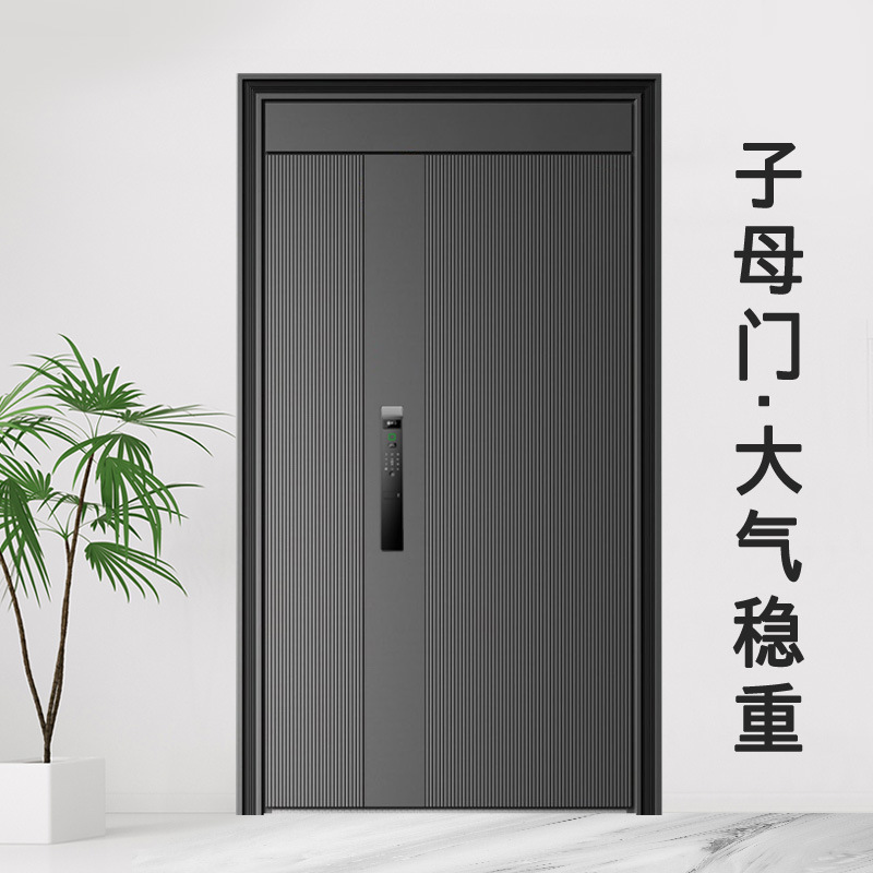 Special Wholesale Grade a Anti-Theft Doors for Home Use, Entrance Doors, Security Doors with Concealed Hinges, Inward-Opening Double Doors for Exterior and Interior Use
