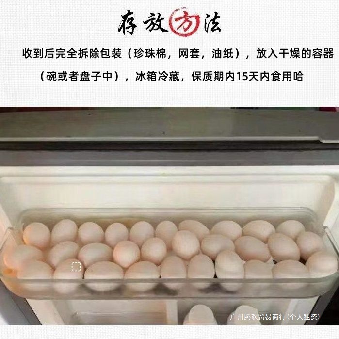Pigeon Eggs, 15-60 Free-Range Pigeon Eggs Gift Box for Pregnant Women, Fresh, Large and High Quality
