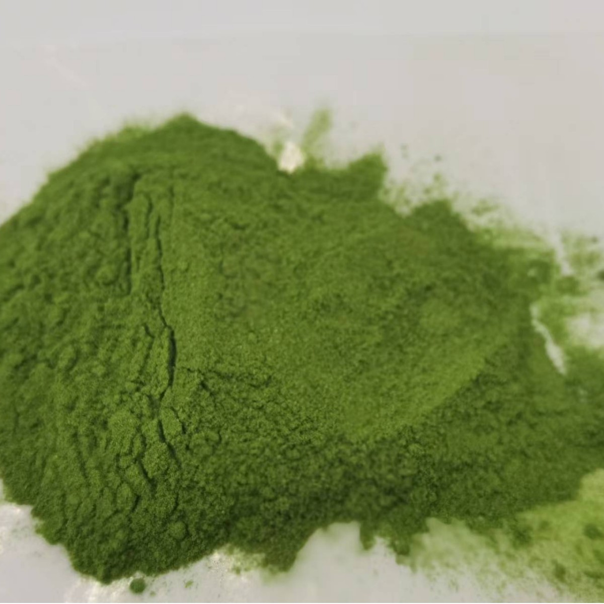 Оптовый порошок зеленого сока ячменя, замена завтрака, зеленый сок, органический порошок из ростков пшеницы