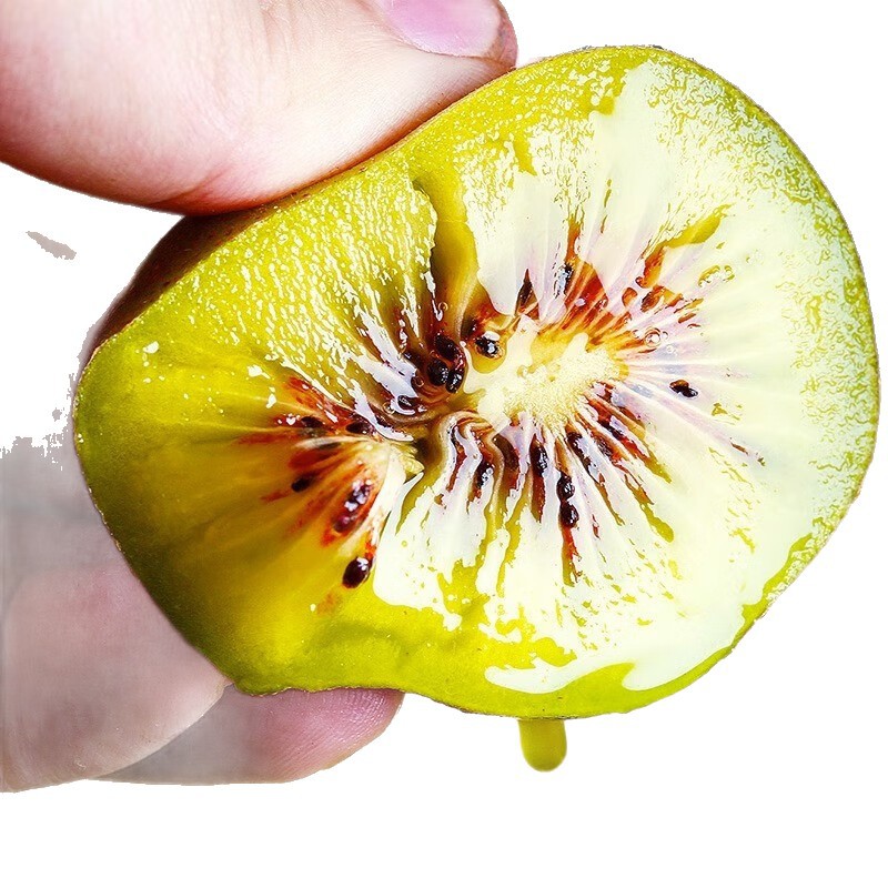 Fresh Super Sweet Kiwi Fruit from Pujiang, Sichuan, with Whole Box Shipping Included