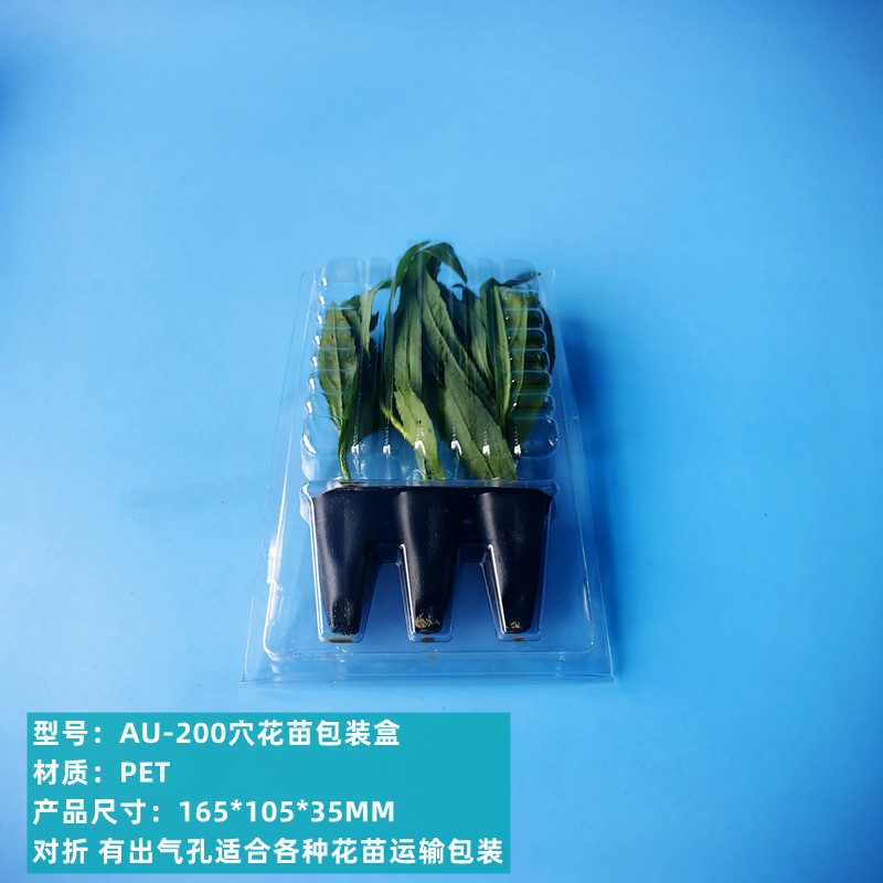 Seedling potted transport box flower seedlings pet blister bubble shell packaging box manufacturers wholesale flower seedlings transport packaging box