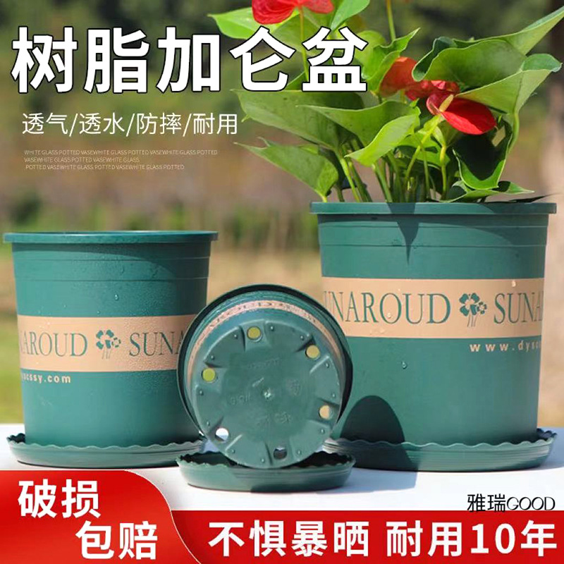 Галлонный базовый таз Нордический простой зеленый цветочный горшок для ландшафтного дизайна от производителей
