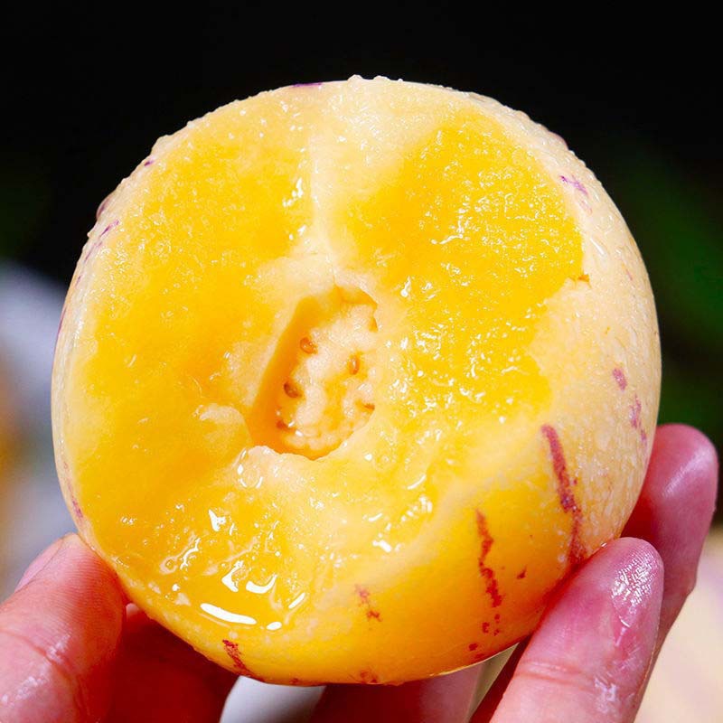 Shilin Ginseng Fruit Yunnan 10 Round Fruits Seasonal Fresh Fruit for Pregnant Women Yellow Flesh Ginseng Fruit Whole Box Large Fruit Free Shipping