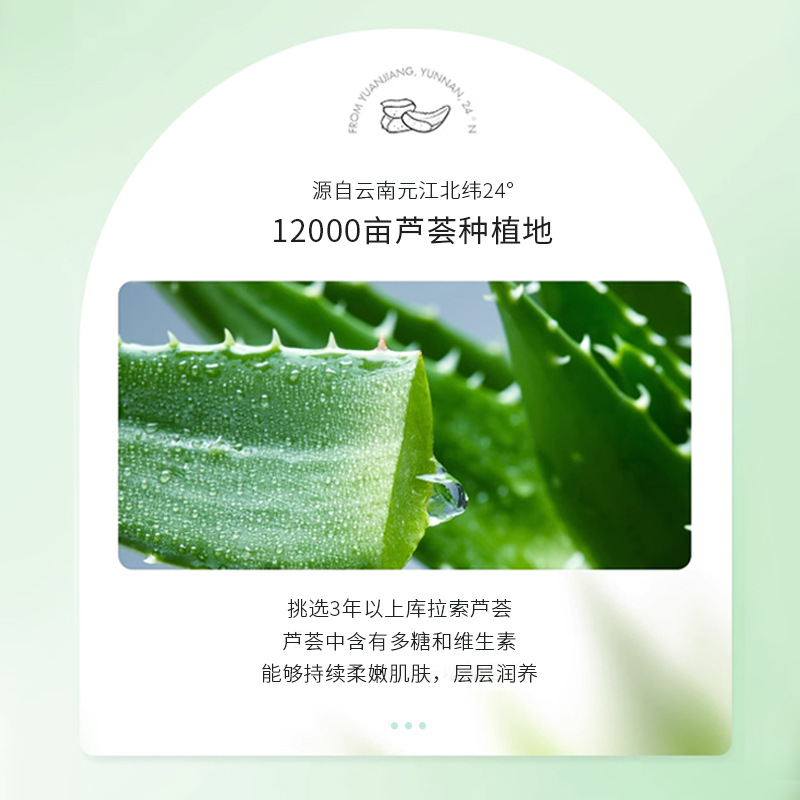 Zhenshi Essence Aloe Vera gel 30g Hydrating and Moisturizing After-sun Repair Refreshing Oil Control Moisturizing gel genuine Wholesale
