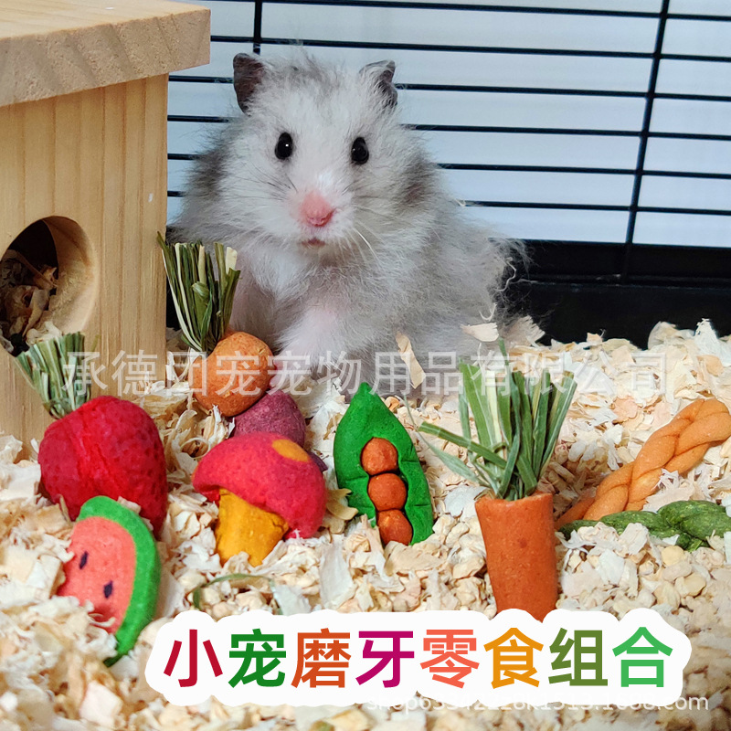 Закуски для хомяков, молярные печенья, золотая медведица, ландшафтные мелкие игрушки