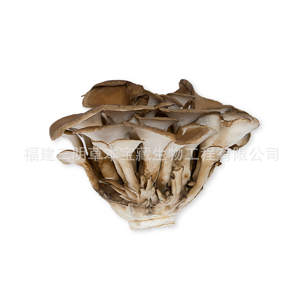 Fujian origin Grifola flower dried goods wholesale Grifola flower small flower soup edible mushroom in stock bags can be processed on behalf