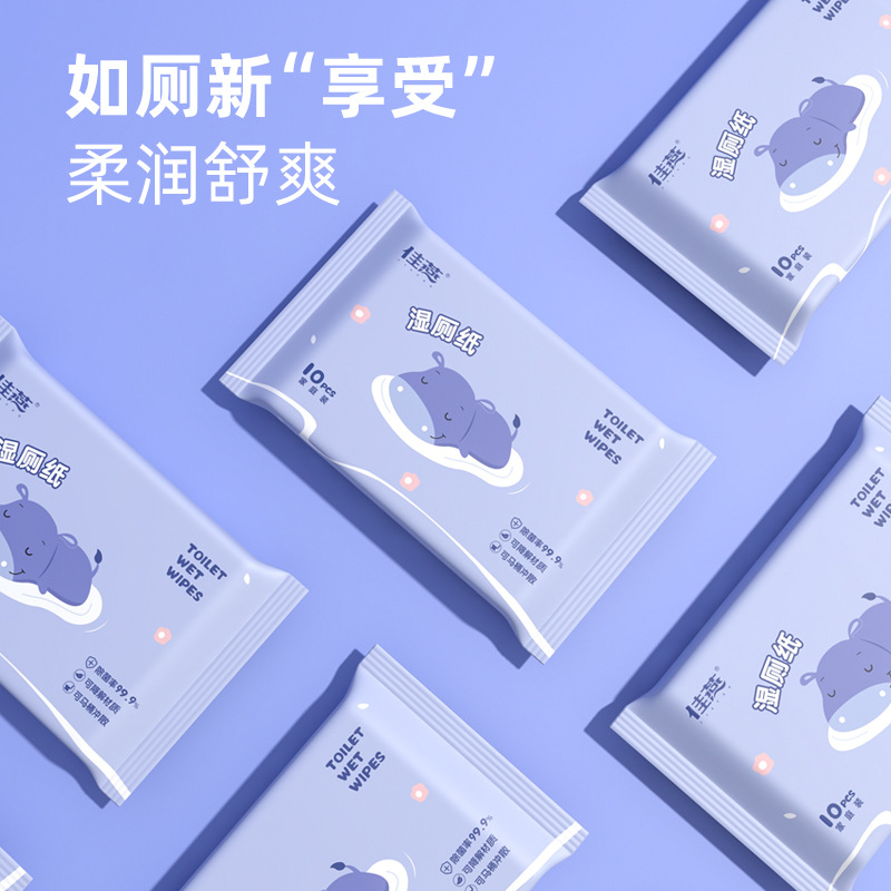 Wet Toilet Paper for Home Use, Flushable, Portable Small Pack of 10 Individual Packs, Disposable Butt Wipes, Biodegradable Wet Toilet Wipes