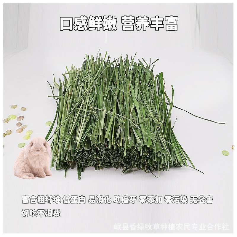 2025 New Timothy Grass First Harvest Tender Grass Boxed Grass Segments Northern Pasture Grass Rabbit Hay Available for Wholesale Pet Chinchilla