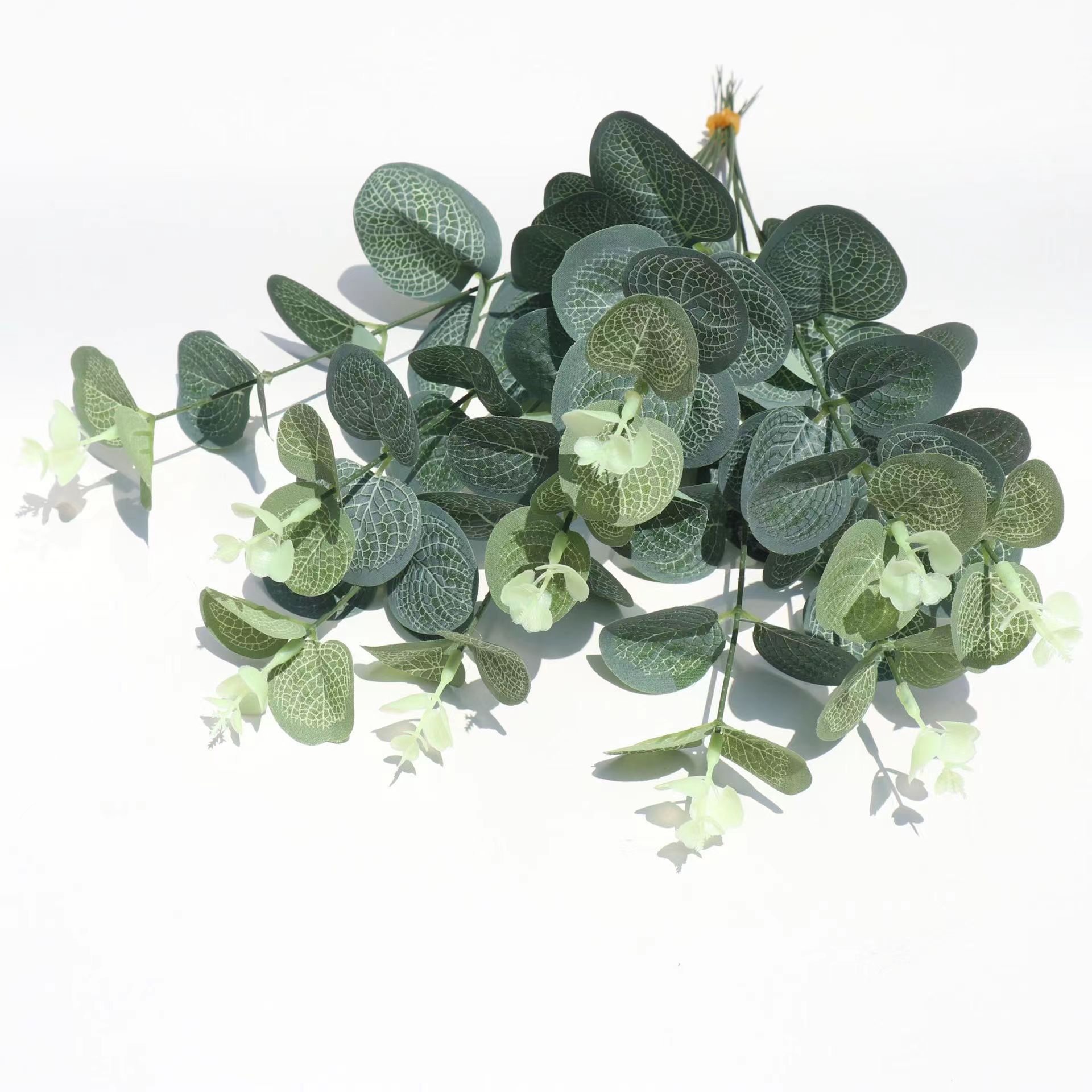 Simulation Single Money Leaf Eucalyptus Leaf ins Mori Wedding Flower Arrange Accessories Flower Arrange Decorative Leaf
