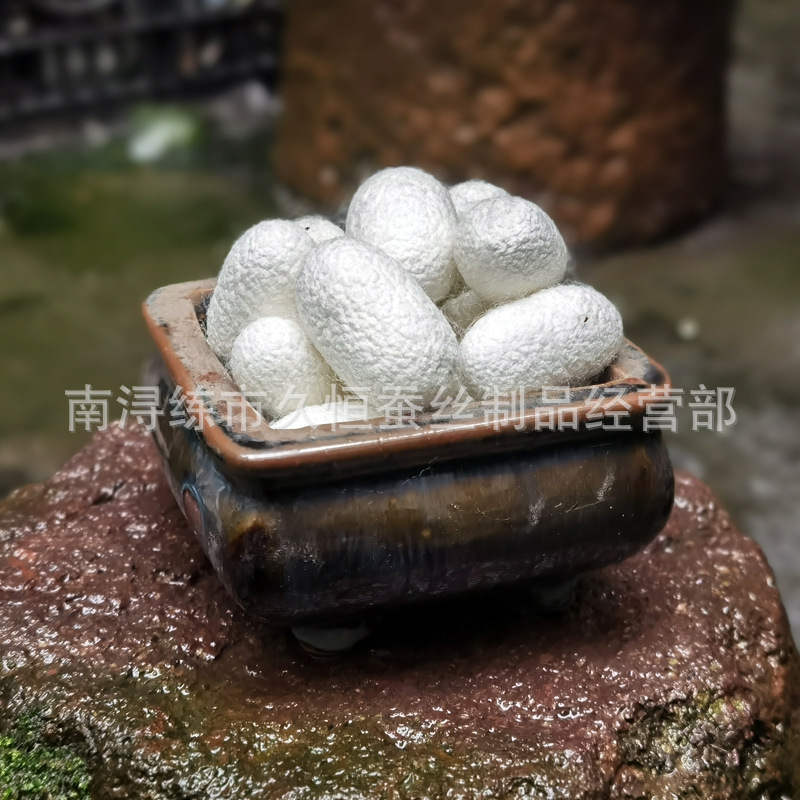 Natural White Complete Mulberry Silk Cocoon with Pupa, Raw Silk for Silk Fan Production, Wholesale Mulberry Silk Cocoon