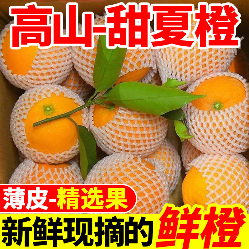 Альпийские летние апельсины, свежесобранные свежие апельсины, сезонные очищенные сладкие апельсины, тонкокожие апельсины с пупком, целая коробка с бесплатной доставкой