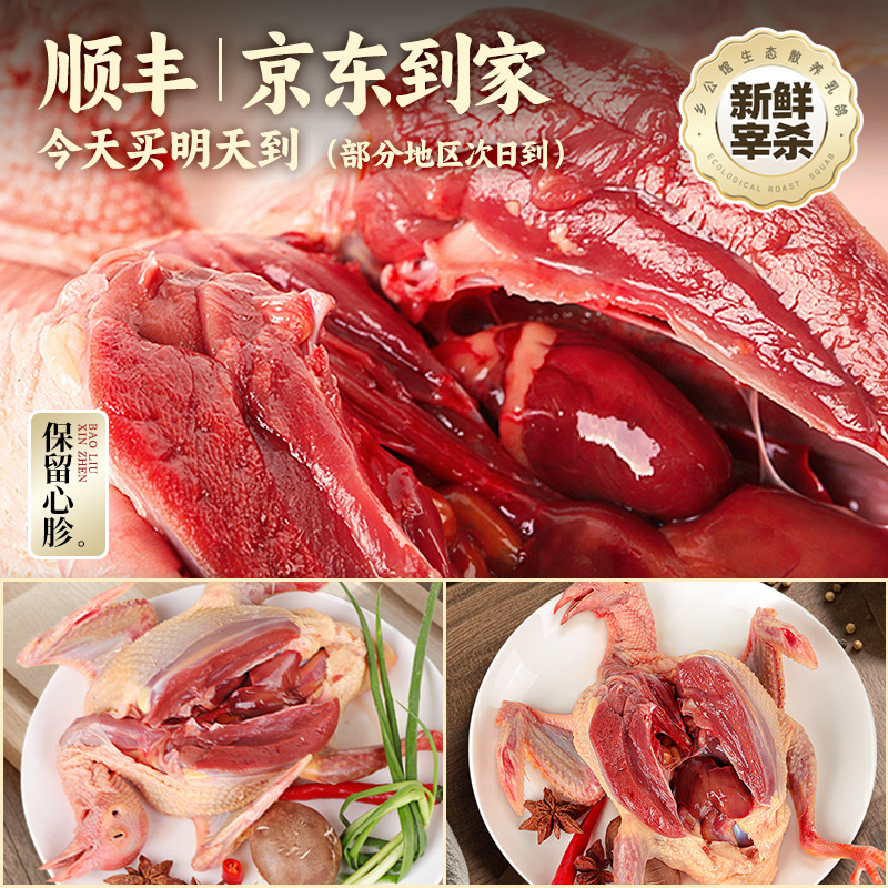 Earth wholesale meat pigeon 5 pigeons farm pigeons free-range pigeons whole box now kill pigeons old fresh pigeons