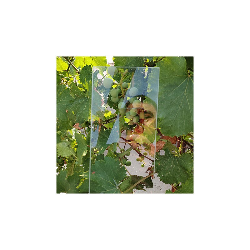 Source Manufacturer of Photoelectric Glass Anti-Newton Ring Universal Scanner Instrument for Large Format Picture Frame Frosted Processing