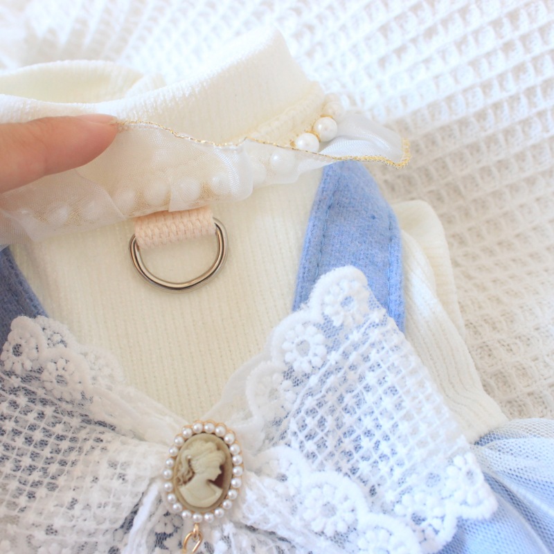 Pet dog autumn and winter similar princess skirt traction buckle pet clothes dog teddy bear cat strap dress