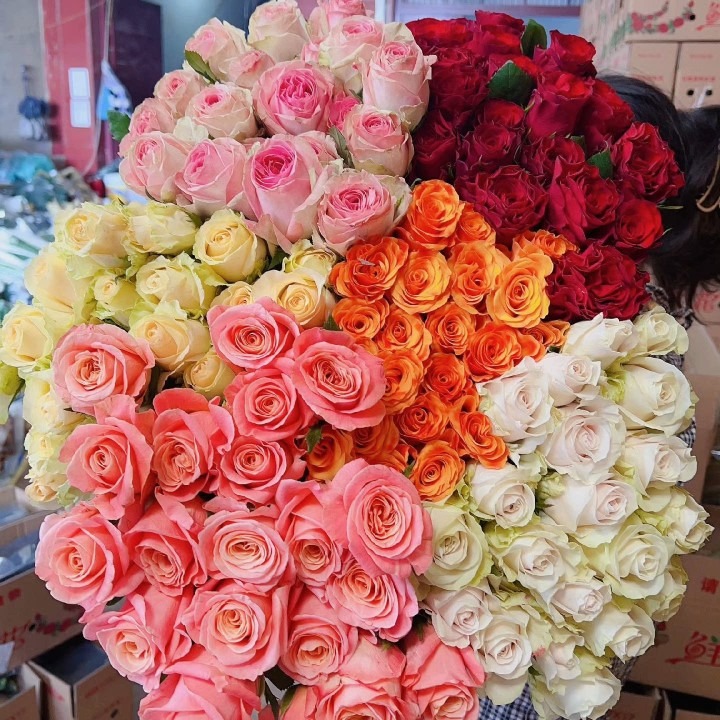 Yunnan Flower Wholesale Rose Real Flower Flower Shop Daytime Event Special Flowers First-Hand Source Roses Shipped Nationwide