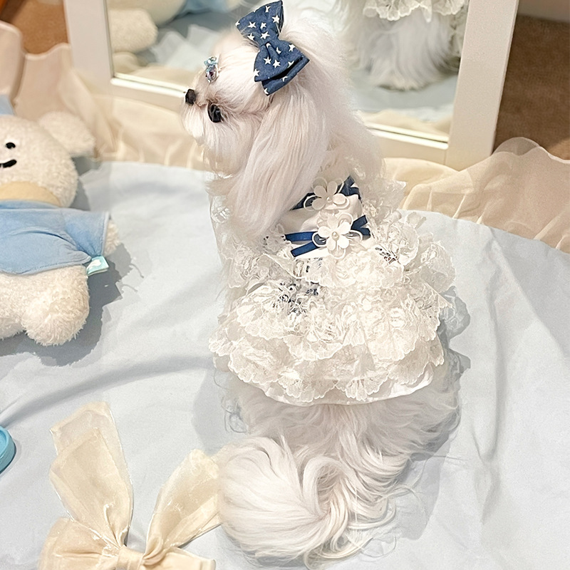 Amberani Pet Clothes Summer Anti-Shedding Puppy Skirt Small Size Dogs Yorkshire Dog Dress Princess Skirt
