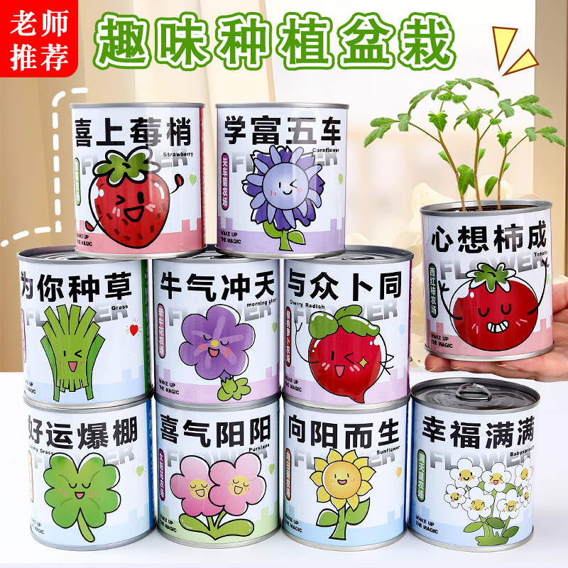 Интернет-знаменитая слепая коробка для растений детские растения помидор мята настольное зеленое растение запись роста