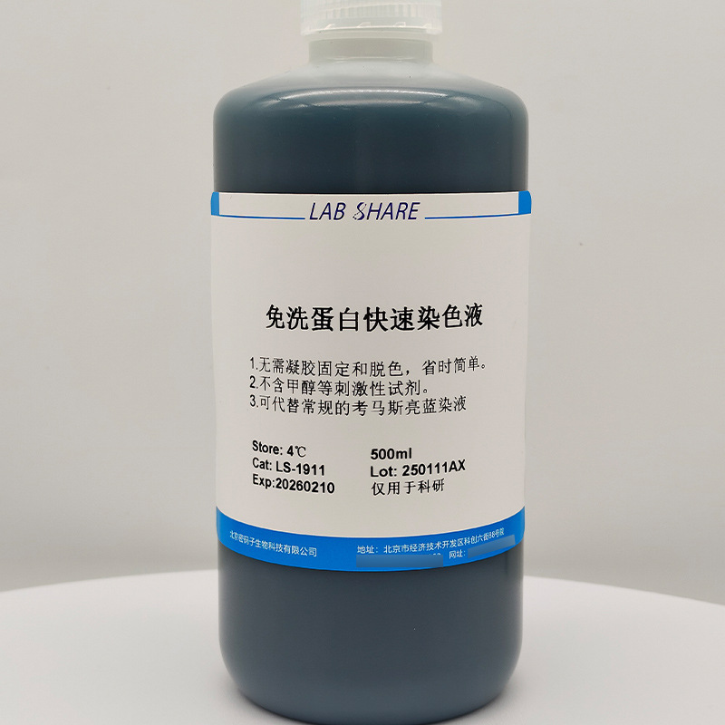 Wash-free protein rapid staining solution microbiological experiments for scientific laboratory manufacturers supply only