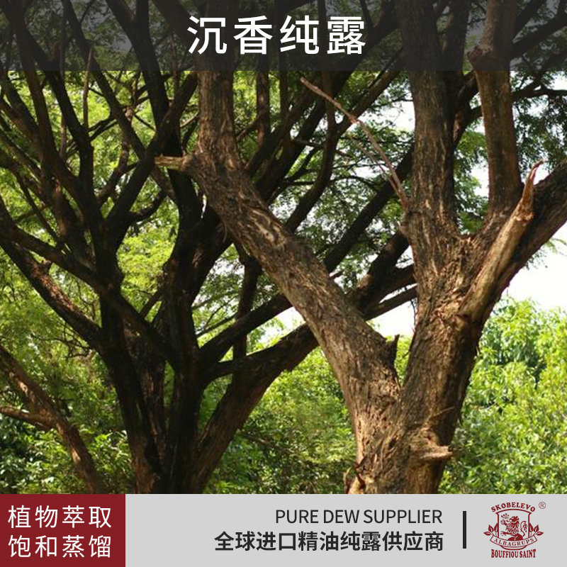 Чистая роса Aquilarum, косметическое сырье 1000мл, улучшение состояния кожи