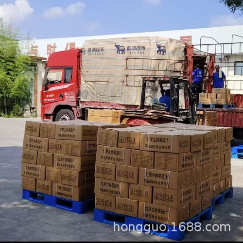 Special Kumquat Juice Concentrate for Juice Bars, Fresh Fruit Squeezed Kumquat Lemon Juice, Kumquat Extract Liquid, Extra Concentrated