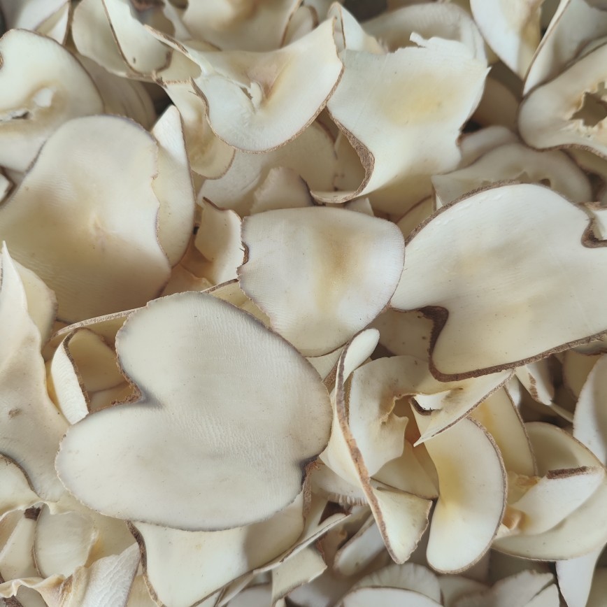 Undersea Coconut Manufacturer Direct Sales Wholesale Dried Goods Soup Ingredients Original Undersea Coconut Dried Slices Dessert Ingredients Dropshipping