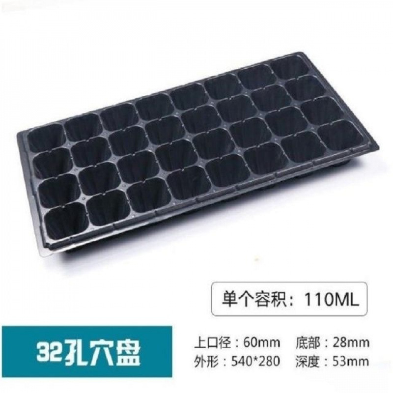 Seedling Tray Tomato Pepper Plug Tray Seedling Succulent Leaf Insert Box Vegetable Seedling Tray Strawberry Cultivation Pot