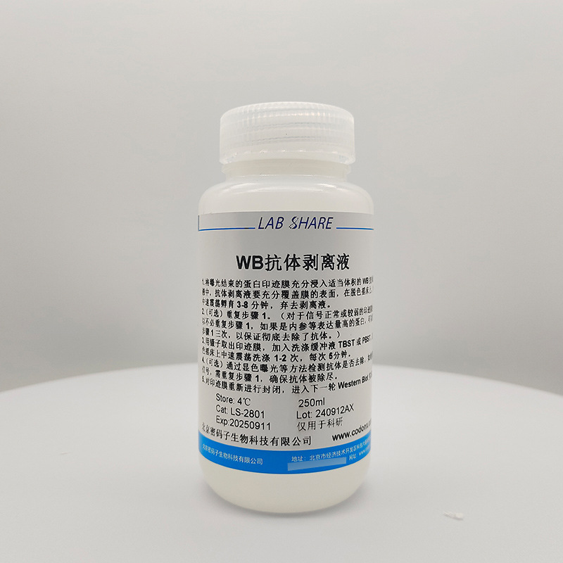 Wb Antibody Peeling Solution Is Only Used for Scientific Research Immunology Experiments Protein Biochemical Experiments
