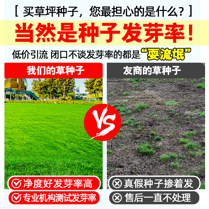 Lawn Grass Seeds Are Evergreen, Cold-Resistant and Drought-Resistant Slope Protection, Manila Dog Tooth Root Greening Dwarf Turf Grass Seeds