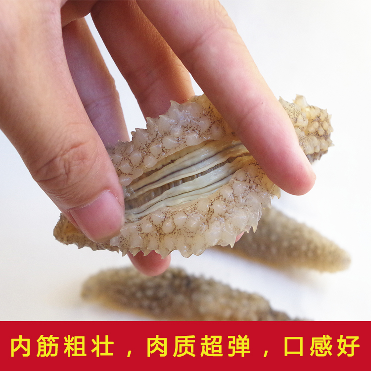 Wild Sea Cucumber Dried 50-500g Bulk Light Dried Small Apostichopus japonicus Pregnant Women Non-fresh Dalian Instant Liao Cucumber