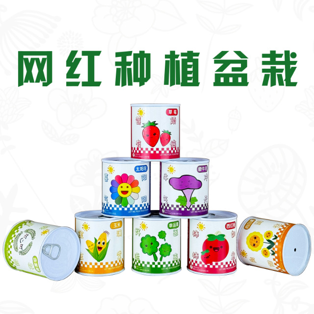 Customized Graduation Gift DIY Children's Potted Plants Blind Box Office Green Plants Potted Plants Mini Desktop Planting Potted