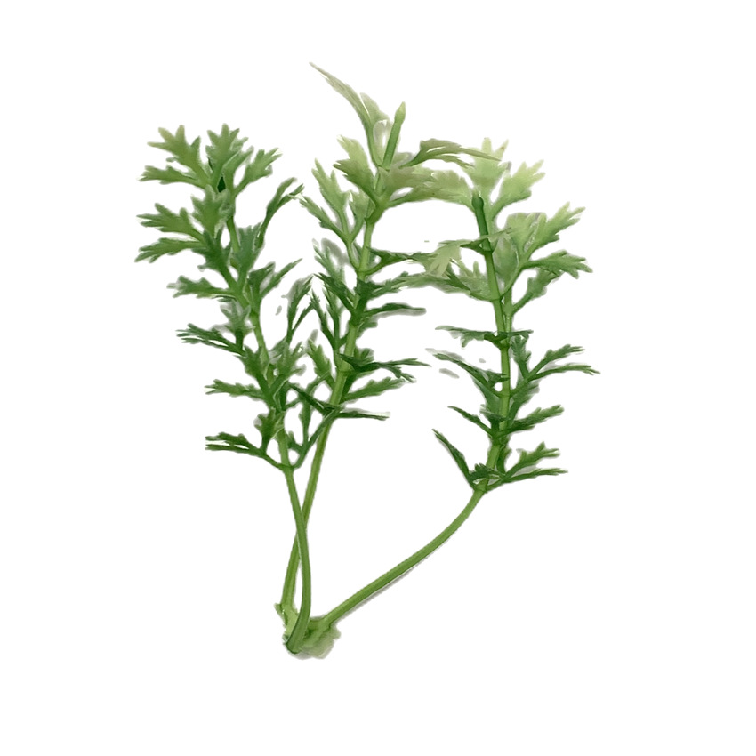 Factory Supply of Various Simulated Aquatic Plants, Simulated Green Plant Garland Materials, Simulated Plastic Aquatic Plants