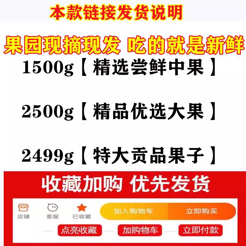 Zhejiang White Jade Loquat Fresh Fruit for Pregnant Women, Freshly Picked and Delivered in Sf Express Gift Box