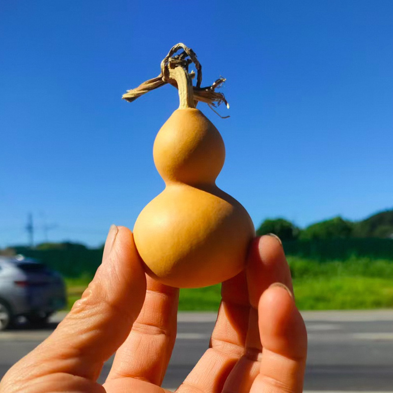 Прямые поставки натуральных тыкв для ручного скручивания, мини тыквы для ручного скручивания, натуральные тыквы с кранами оптом