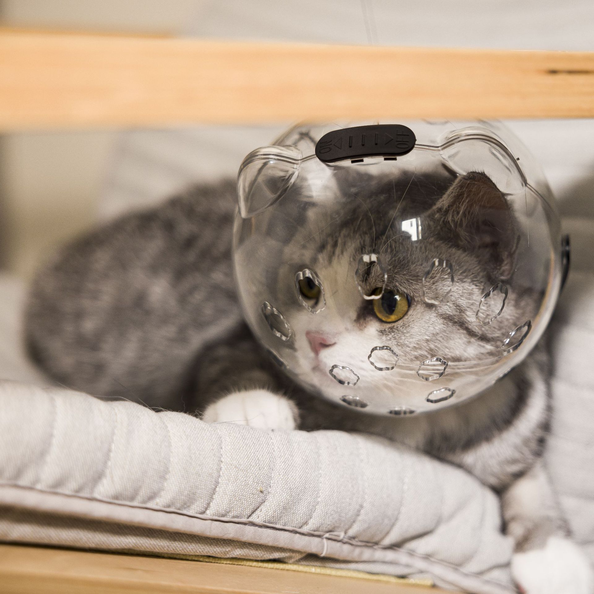 Cat Space Hood, Mouth Cover, Anti-Biting Collar, Anti-Licking Cat Protective Hood, Breathable Shame Hood, Elizabethan Collar