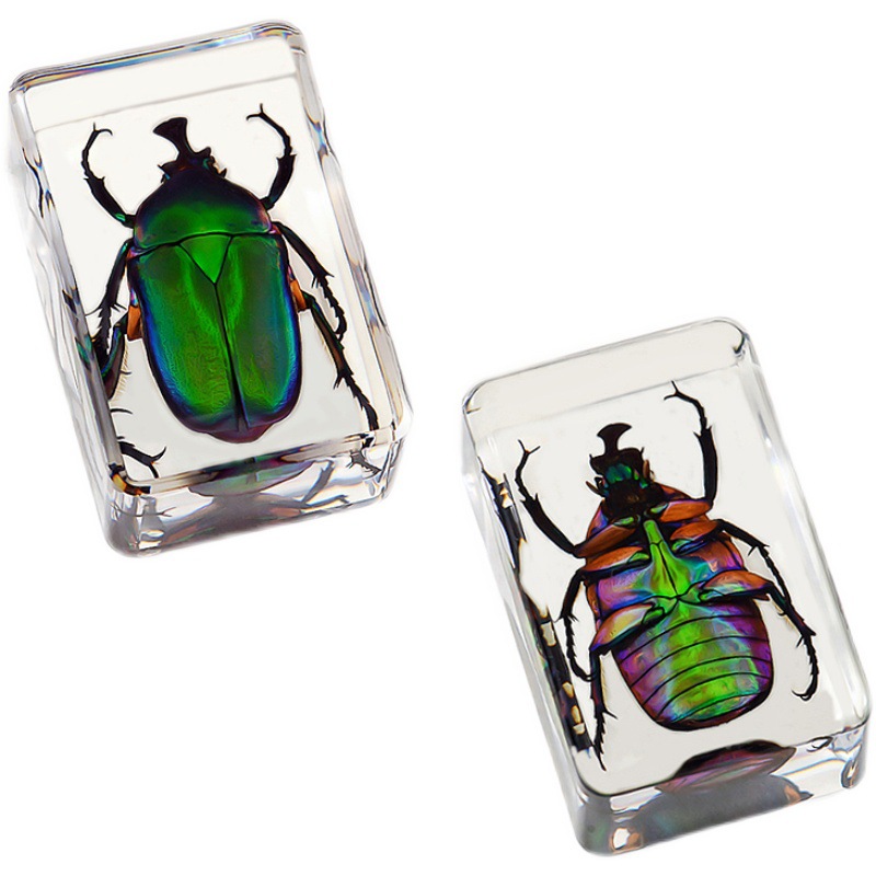 True Worm Small Animal Insect Specimen Resin Marine Animal Amber Specimen Scorpion Spider Ant Crab Scarab