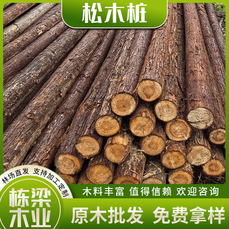 Pine wood log stake processing log piling fir wood stake greening reinforcement support rod flood control forest direct sales