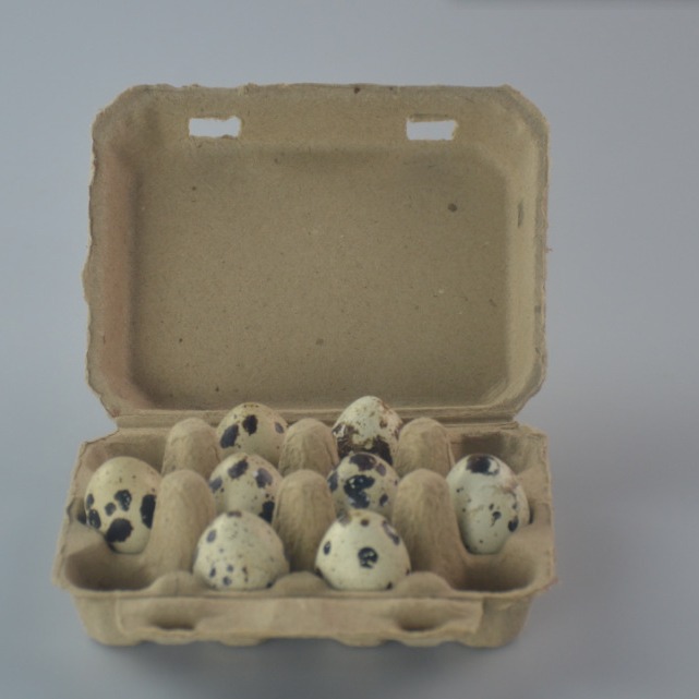 Manufacturer Supplies Pulp Quail Egg Box 12 Quail Egg Box Shock-Absorbing Degradable Quail Egg Box