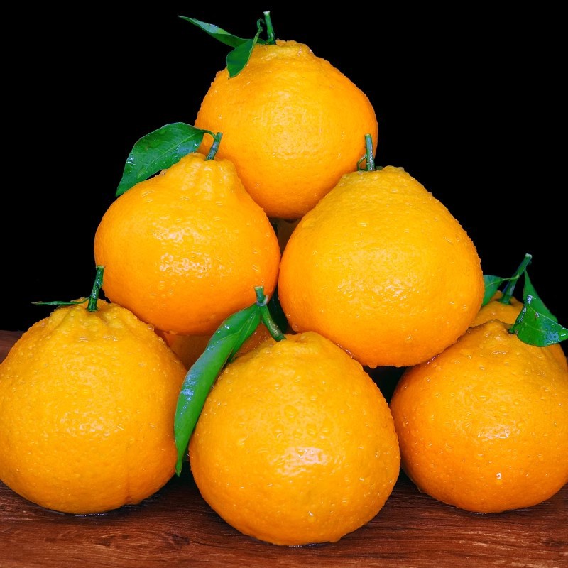 Authentic Fresh Seasonal Tangerines from Sichuan, 5kg Pieces Per Box with Free Shipping