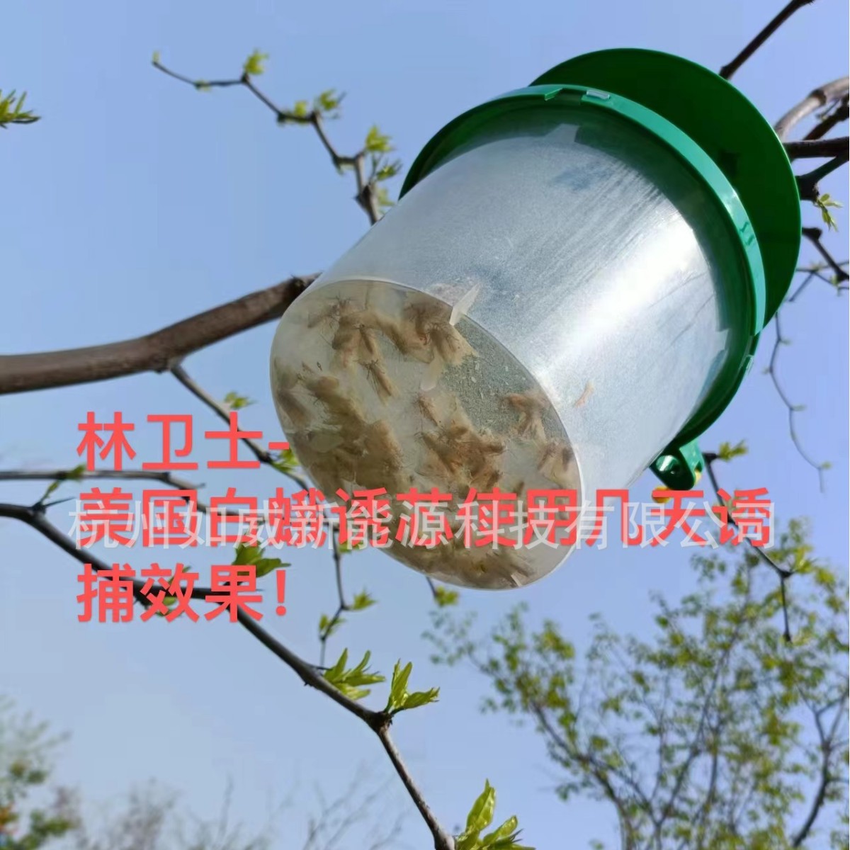 Серия приманок Lin Guardian Phl, ловушка для американского белого мотылька, приманка для американского белого мотылька