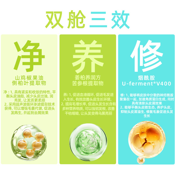 Dual-Chamber Dual-Tube Shampoo with Double-Extract Formula for Scalp Care, Men's Internal and External Use, One-Pump Multi-Material, Oil Control, and Anti-Hair Loss